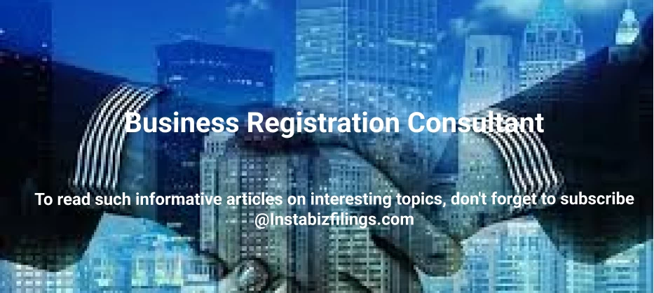 Business Registration Consultant