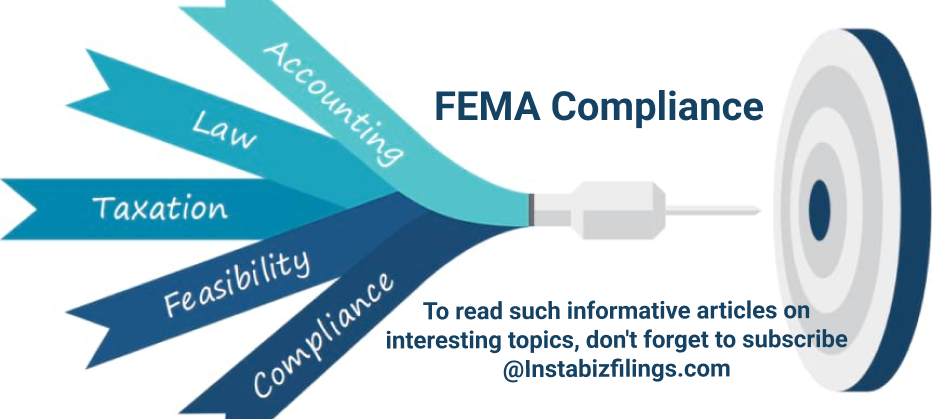 Expert FEMA Compliance Services for Your Business